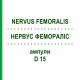 НЕРВУС ФЕМОРАЛИС (NERVUS FEMORALIS) D 15 ампулы 10x1 мл - Гомеопатия WALA HEILMITTEL
