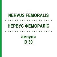 НЕРВУС ФЕМОРАЛІС (NERVUS FEMORALIS) D 30 ампули 10x1 мл - Гомеопатія WALA HEILMITTEL