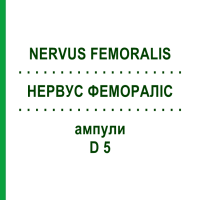 НЕРВУС ФЕМОРАЛИС (NERVUS FEMORALIS) D 5 ампулы 10x1 мл - Гомеопатия WALA HEILMITTEL