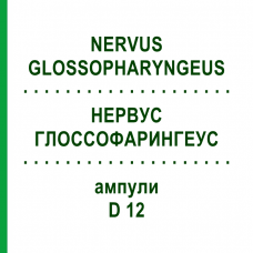 НЕРВУС ГЛОССОФАРИНГЕУС (NERVUS GLOSSOPHARYNGEUS) D 12 ампулы 10x1 мл - Гомеопатия WALA HEILMITTEL