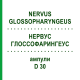НЕРВУС ГЛОССОФАРИНГЕУС (NERVUS GLOSSOPHARYNGEUS) D 30 ампулы 10x1 мл - Гомеопатия WALA HEILMITTEL