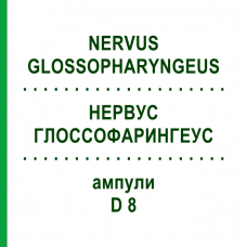 НЕРВУС ГЛОССОФАРИНГЕУС (NERVUS GLOSSOPHARYNGEUS) D 8 ампулы 10x1 мл - Гомеопатия WALA HEILMITTEL