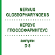 НЕРВУС ГЛОССОФАРИНГЕУС (NERVUS GLOSSOPHARYNGEUS) D 8 ампулы 10x1 мл - Гомеопатия WALA HEILMITTEL