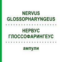НЕРВУС ГЛОССОФАРИНГЕУС (NERVUS GLOSSOPHARYNGEUS) ампули 10x1 мл - Гомеопатія WALA HEILMITTEL