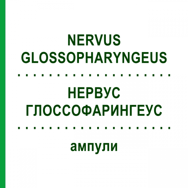 НЕРВУС ГЛОССОФАРИНГЕУС (NERVUS GLOSSOPHARYNGEUS) ампулы 10x1 мл - Гомеопатия WALA HEILMITTEL
