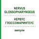 НЕРВУС ГЛОССОФАРИНГЕУС (NERVUS GLOSSOPHARYNGEUS) ампулы 10x1 мл - Гомеопатия WALA HEILMITTEL