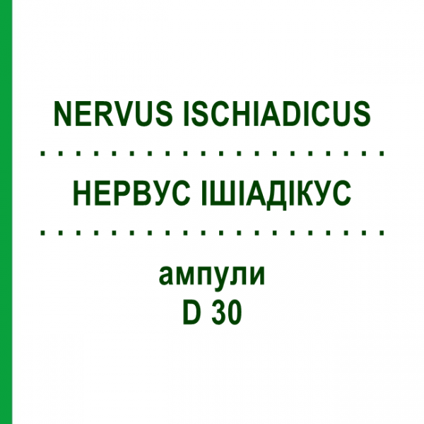 НЕРВУС ИШИАДИКУС (NERVUS ISCHIADICUS) D 30 ампулы 50x1 мл - Гомеопатия WALA HEILMITTEL