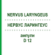 НЕРВУС ЛАРИНГЕУС (NERVUS LARYNGEUS) D 12 ампулы 10x1 мл - Гомеопатия WALA HEILMITTEL