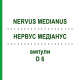НЕРВУС МЕДИАНУС (NERVUS MEDIANUS) D 6 ампулы 10x1 мл - Гомеопатия WALA HEILMITTEL