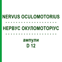 НЕРВУС ОКУЛОМОТОРІУС (NERVUS OCULOMOTORIUS) D 12 ампули 10x1 мл - Гомеопатія WALA HEILMITTEL