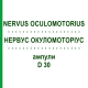 НЕРВУС ОКУЛОМОТОРИУС (NERVUS OCULOMOTORIUS) D 30 ампулы 10x1 мл - Гомеопатия WALA HEILMITTEL
