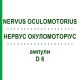 НЕРВУС ОКУЛОМОТОРИУС (NERVUS OCULOMOTORIUS) D 6 ампулы 10x1 мл - Гомеопатия WALA HEILMITTEL