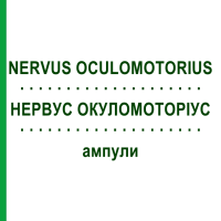 НЕРВУС ОКУЛОМОТОРИУС (NERVUS OCULOMOTORIUS) ампулы 10x1 мл - Гомеопатия WALA HEILMITTEL