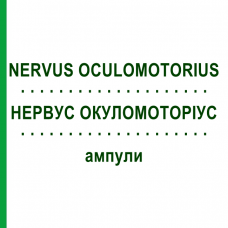 НЕРВУС ОКУЛОМОТОРИУС (NERVUS OCULOMOTORIUS) ампулы 10x1 мл - Гомеопатия WALA HEILMITTEL