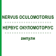 НЕРВУС ОКУЛОМОТОРИУС (NERVUS OCULOMOTORIUS) ампулы 10x1 мл - Гомеопатия WALA HEILMITTEL