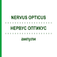 НЕРВУС ОПТИКУС (NERVUS OPTICUS) ампулы 100 шт - Гомеопатия BIOLOGISCHE HEILMITTEL HEEL