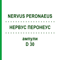 НЕРВУС ПЕРОНЕУС (NERVUS PERONAEUS) D 30 ампули 10x1 мл - Гомеопатія WALA HEILMITTEL