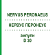 НЕРВУС ПЕРОНЕУС (NERVUS PERONAEUS) D 30 ампулы 10x1 мл - Гомеопатия WALA HEILMITTEL