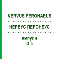 НЕРВУС ПЕРОНЕУС (NERVUS PERONAEUS) D 5 ампулы 10x1 мл - Гомеопатия WALA HEILMITTEL