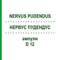 НЕРВУС ПУДЕНДУС (NERVUS PUDENDUS) D 12 ампулы 10x1 мл - Гомеопатия WALA HEILMITTEL