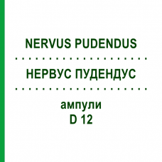 НЕРВУС ПУДЕНДУС (NERVUS PUDENDUS) D 12 ампулы 10x1 мл - Гомеопатия WALA HEILMITTEL