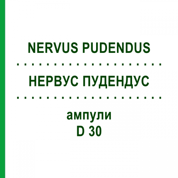 НЕРВУС ПУДЕНДУС (NERVUS PUDENDUS) D 30 ампулы 10x1 мл - Гомеопатия WALA HEILMITTEL