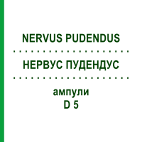 НЕРВУС ПУДЕНДУС (NERVUS PUDENDUS) D 5 ампули 10x1 мл - Гомеопатія WALA HEILMITTEL