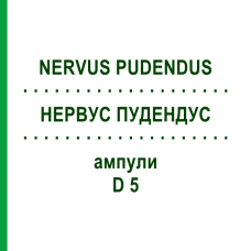 НЕРВУС ПУДЕНДУС (NERVUS PUDENDUS) D 5 ампулы 10x1 мл - Гомеопатия WALA HEILMITTEL
