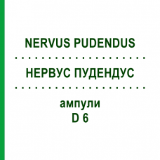 НЕРВУС ПУДЕНДУС (NERVUS PUDENDUS) D 6 ампулы 10x1 мл - Гомеопатия WALA HEILMITTEL