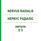 НЕРВУС РАДИАЛИС (NERVUS RADIALIS) D 5 ампулы 10x1 мл - Гомеопатия WALA HEILMITTEL