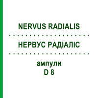 НЕРВУС РАДИАЛИС (NERVUS RADIALIS) D 8 ампулы 10x1 мл - Гомеопатия WALA HEILMITTEL