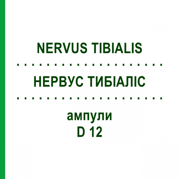 НЕРВУС ТИБИАЛИС (NERVUS TIBIALIS) D 12 ампулы 10x1 мл - Гомеопатия WALA HEILMITTEL