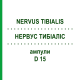 НЕРВУС ТИБИАЛИС (NERVUS TIBIALIS) D 15 ампулы 10x1 мл - Гомеопатия WALA HEILMITTEL