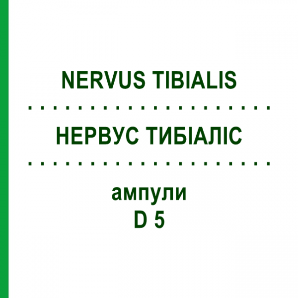 НЕРВУС ТИБИАЛИС (NERVUS TIBIALIS) D 5 ампулы 10x1 мл - Гомеопатия WALA HEILMITTEL