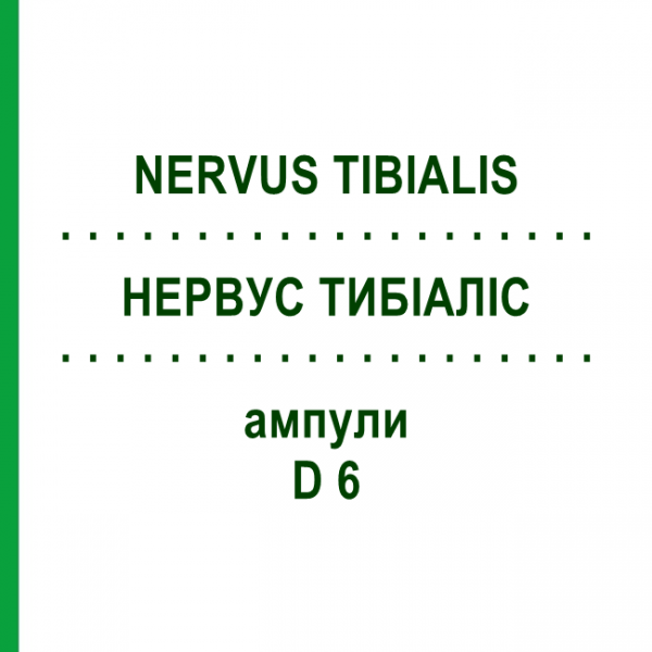 НЕРВУС ТИБИАЛИС (NERVUS TIBIALIS) D 6 ампулы 10x1 мл - Гомеопатия WALA HEILMITTEL