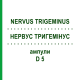 НЕРВУС ТРИГЕМИНУС (NERVUS TRIGEMINUS) D 5 ампулы 10x1 мл - Гомеопатия WALA HEILMITTEL