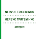 НЕРВУС ТРИГЕМИНУС (NERVUS TRIGEMINUS) ампулы 10x1 мл - Гомеопатия WALA HEILMITTEL