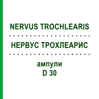 НЕРВУС ТРОХЛЕАРИС (NERVUS TROCHLEARIS) D 30 ампулы 10x1 мл - Гомеопатия WALA HEILMITTEL
