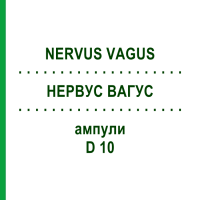НЕРВУС ВАГУС (NERVUS VAGUS) D 10 ампулы 10x1 мл - Гомеопатия WALA HEILMITTEL