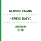 НЕРВУС ВАГУС (NERVUS VAGUS) D 10 ампулы 10x1 мл - Гомеопатия WALA HEILMITTEL