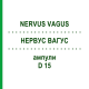 НЕРВУС ВАГУС (NERVUS VAGUS) D 15 ампулы 10x1 мл - Гомеопатия WALA HEILMITTEL