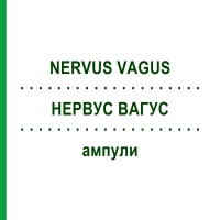 НЕРВУС ВАГУС (NERVUS VAGUS) ампули 10x1 мл - Гомеопатія WALA HEILMITTEL