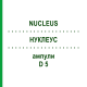 НУКЛЕУС (NUCLEUS) D 5 ампули 10x1 мл - Гомеопатія WALA HEILMITTEL