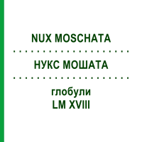 НУКС МОШАТА (NUX MOSCHATA) LM XVIII глобули 5 г - Гомеопатия DHU
