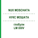 НУКС МОШАТА (NUX MOSCHATA) LM XXIV глобули 5 г - Гомеопатия DHU
