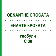 ЭНАНТЕ КРОКАТА (OENANTHE CROCATA) C 30 глобули 10 г - Гомеопатия DHU