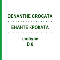 ЕНАНТЕ КРОКАТА (OENANTHE CROCATA) D 6 глобули 10 г - Гомеопатія DHU