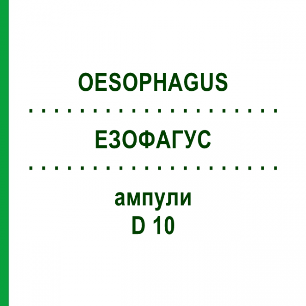 ЕЗОФАГУС (OESOPHAGUS) D 10 ампули 10x1 мл - Гомеопатія WALA HEILMITTEL