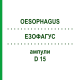 ЕЗОФАГУС (OESOPHAGUS) D 15 ампули 10x1 мл - Гомеопатія WALA HEILMITTEL