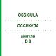 ОССИКУЛА (OSSICULA) D 8 ампули 10x1 мл - Гомеопатія WALA HEILMITTEL